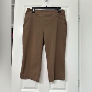 Briggs New York Brown Capris